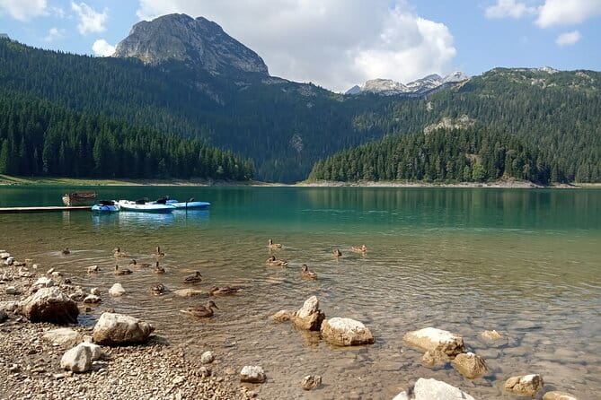 Durmitor NP private tour- Among Katuns, Shepherds and Geological Miracles - Piva Canyon and Piva Lake: A Scenic Break