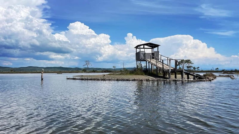 Durres & Karavasta National Park Tour on Luxury Land Rover - Entering Durres: Ancient Sites and Panoramas