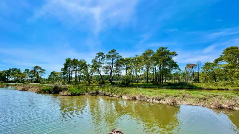 Durres & Karavasta National Park Tour on Luxury Land Rover - Who Should Consider This Tour?