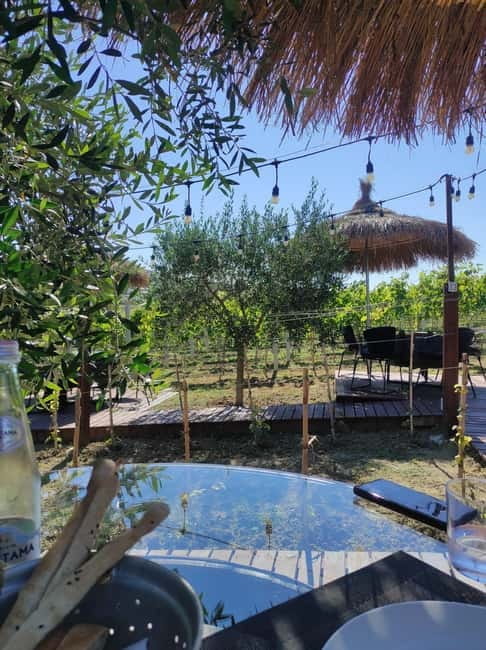 Durres: Where History Meets Wine - Visiting Arapaj Vineyard: The Heart of Wine Tasting