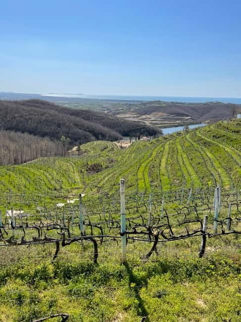 Durres & Wine Tasting Tour - From Ancient Ruins to Scenic Vineyards