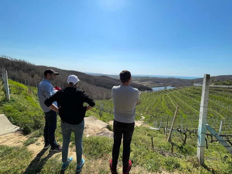 Durres & Wine Tasting Tour - Food, Wine, and the Choice to Dine