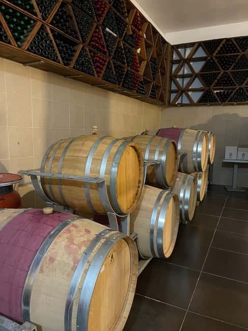 Durres & Wine Tasting Tour - Practical Details and Logistics