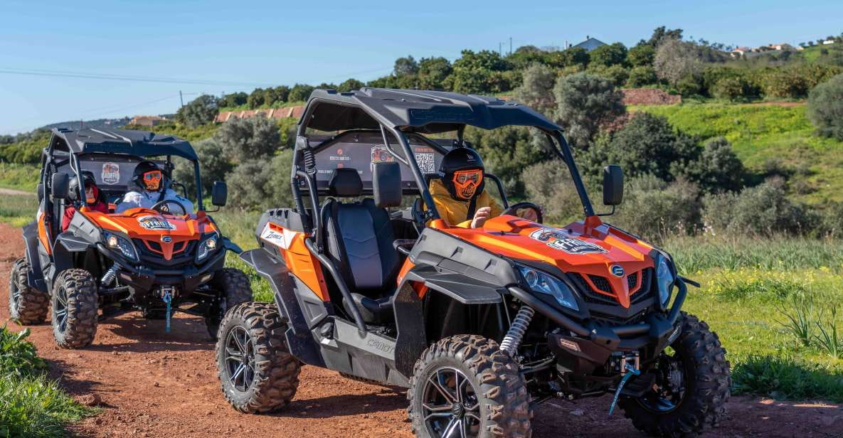 Durt & Dust Paradaise Tour - Buggy Tour 90 Min - Key Points