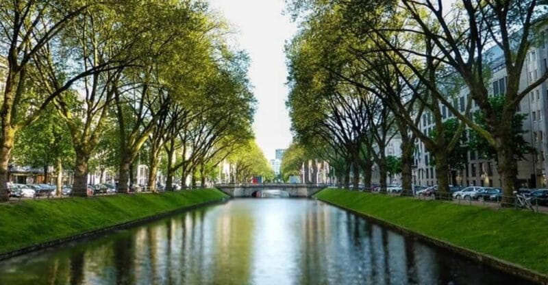 Dusseldorf : Highlights Walking tour with A Guide - FAQ