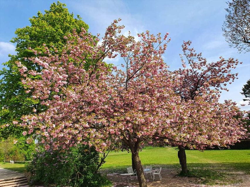 Düsseldorf Nordpark Audio Rally by P.I. Sir Peter Morgan - Highlights of the Exploration