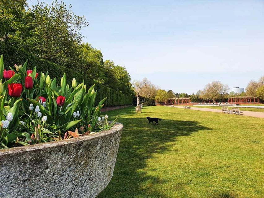 Düsseldorf Nordpark Audio Rally by P.I. Sir Peter Morgan - Cancellation and Payment Details