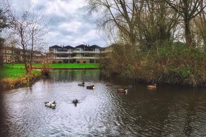 Dutch Windmills & Polder Walking Tour - A Detailed Look at the Dutch Windmills & Polder Walking Tour