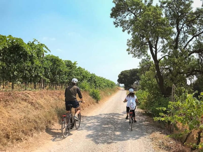 E-bike adventure among villages and medieval castles - Cycling Through Vineyards and Fields