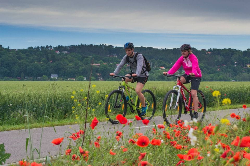 E-Bike Day Trip: Visit a Roman Castle and Taste Craft Beer - Itinerary and Experience