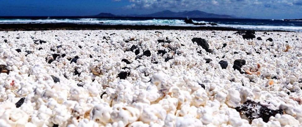 E-Bike Excursion North Coast (Connection With the Island) - Scenic Vistas