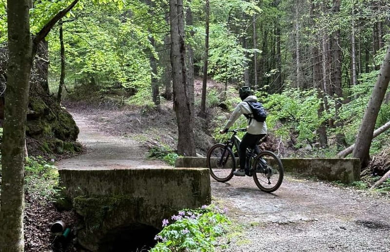 E-BIKE FAMILY TOUR: Andalo and Priori area - Price and Value: Is It Worth It?