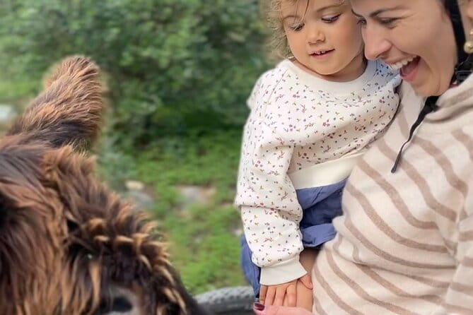 E-bike from Sintra Mountains to Cascais Sea with pickup in Lisbon - FAQ