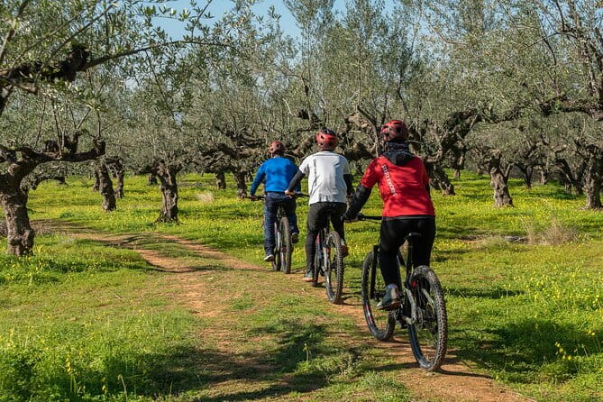 E-Bike Kalamata Olive Routes - Discovering Kalamata’s Olive Groves: An Authentic Cycle Through Nature and Flavors