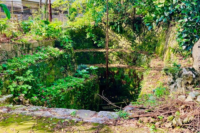 E-Bike Nature Tour in Shuri - Meeting and End Points