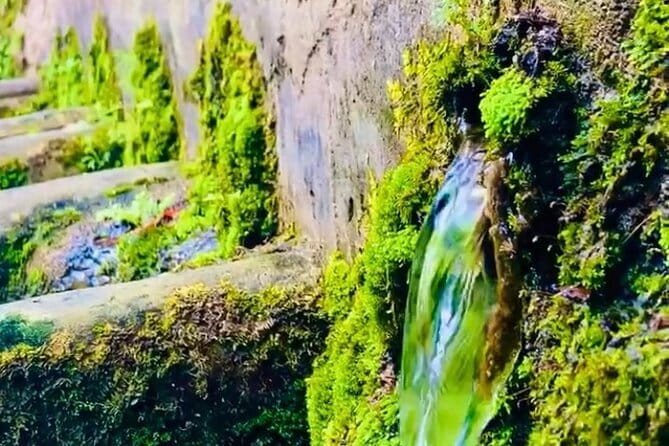 E-Bike Nature Tour in Shuri - Booking and Cancellation