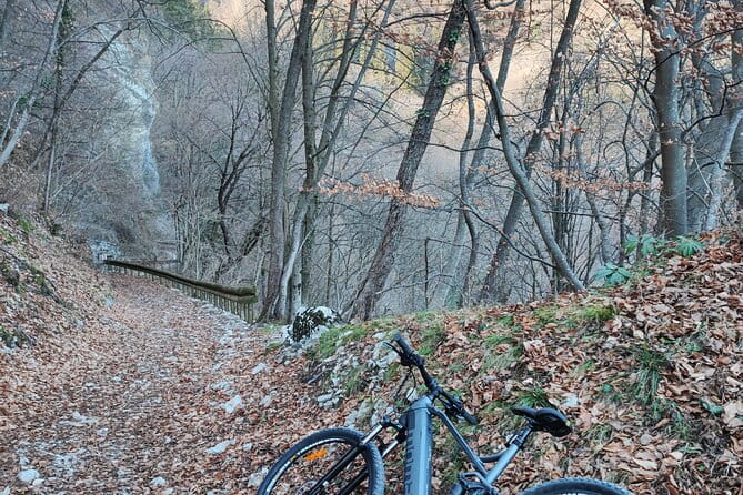 E-bike rental in Riva Del Garda - An In-Depth Look at the E-Bike Rental Experience in Riva del Garda