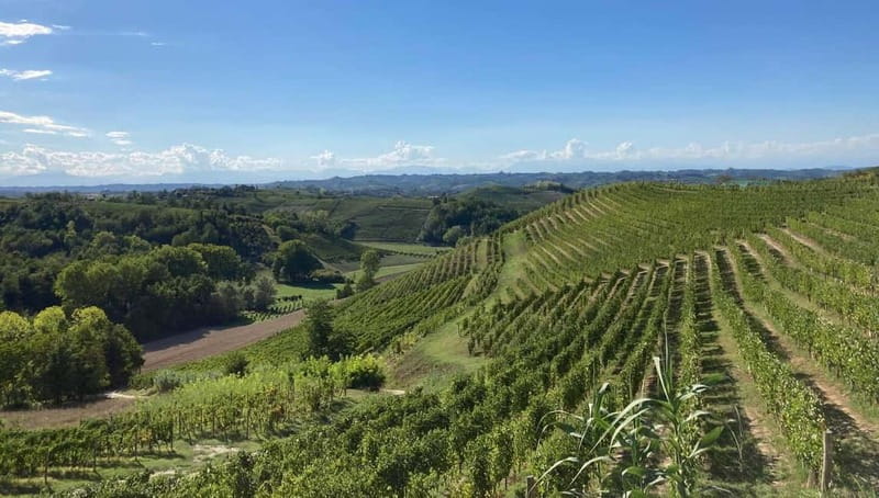 E-Bike Rental in Roero - Price, Logistics, and Who This Is Best For