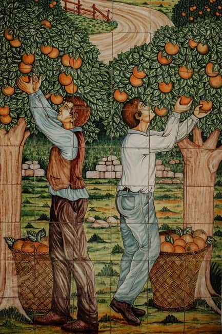 E-bike ride and tasting - Practical Details: What to Expect and Who It’s For