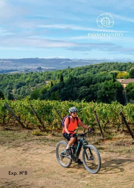 E-bike ride and tasting - Who Will Love This Experience?