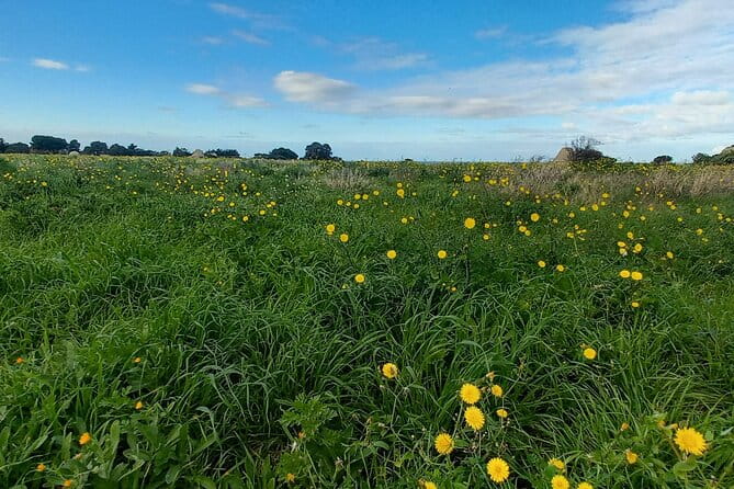 e-bike tour along the cycle path of the Apulian Aqueduct - Who Should Consider This Tour?