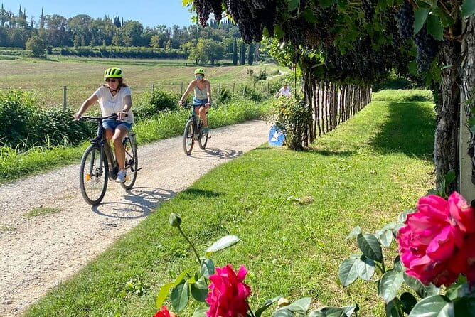 E-Bike Tour and wine tasting in Lazise Countryside - Key Points / Takeaways
