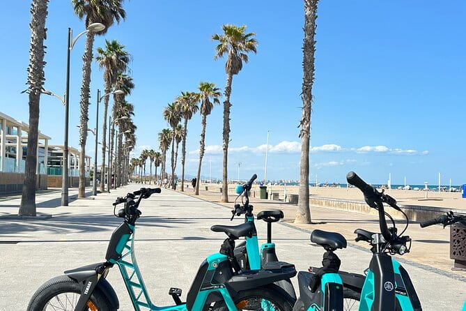 E-bike Tour: Beaches, & City of Arts and Sciences (From 30,00) - Final Thoughts