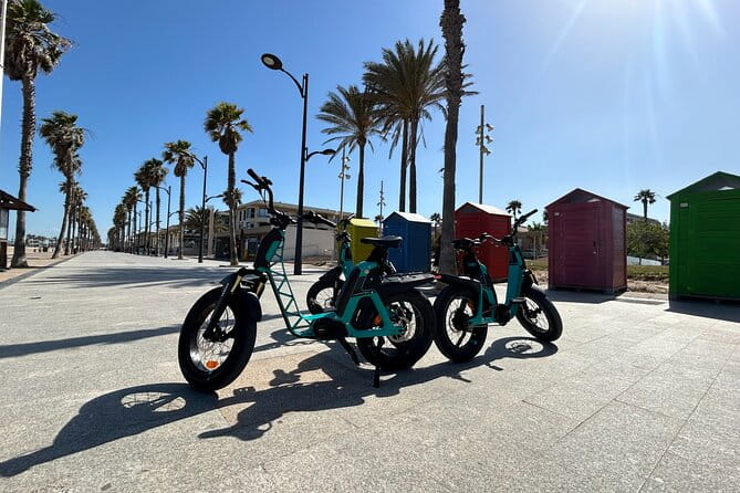 E-bike Tour: Beaches, & City of Arts and Sciences (From 30,00) - FAQ
