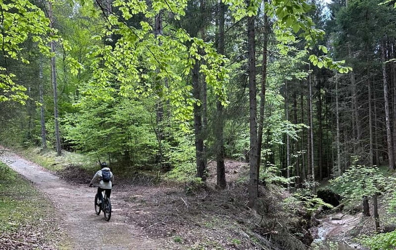 E-BIKE TOUR & Flavours at Fausior Mount - Discover the Fausior Mount E-Bike & Flavours Tour: A Balanced Blend of Nature, Culture, and Adventure