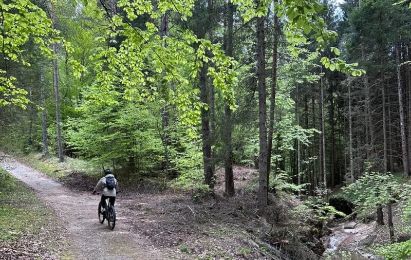 E-BIKE TOUR & Flavours at Fausior Mount - Who Might Want to Consider Alternatives?