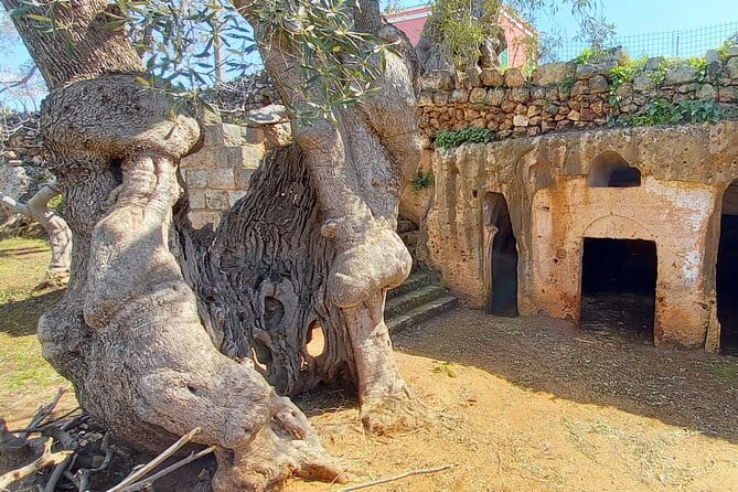 e-Bike tour from Monopoli to the rocky village of S. Andrea - Discovering Monopoli: A Coastal Gem