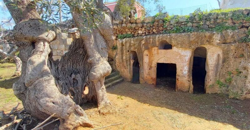 E-bike tour from Monopoli to the rocky village of St. Andrew - Key points / Takeaways