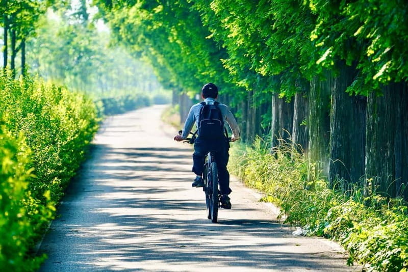 E-Bike Tour from Ventimiglia: Dolceacqua & Rocchetta Rivers - Key Points / Takeaways