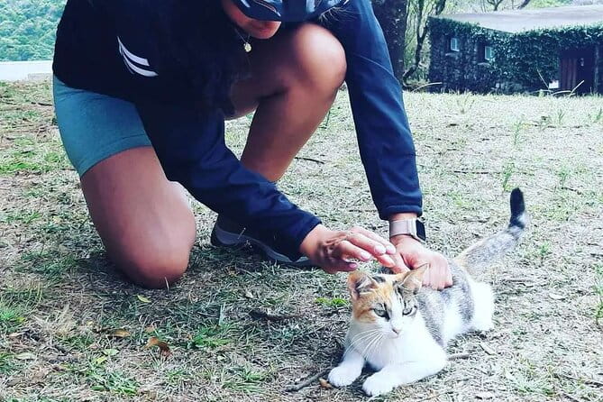 E-Bike Tour Monte Brasil | Terceira Island - Practical Details