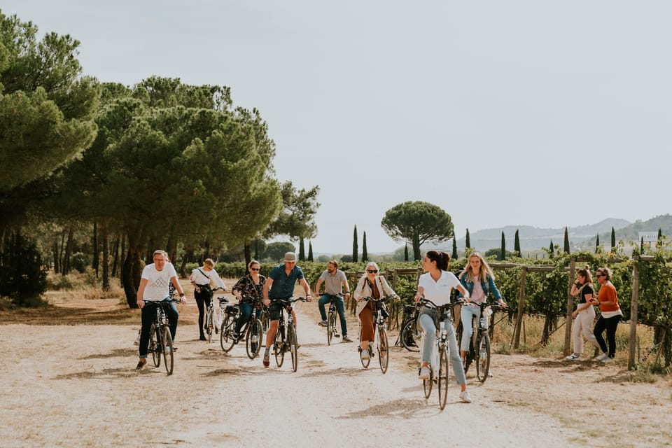 E-Bike Tour & Picnic in an Exclusive Winery Estate - Picnic Basket Options