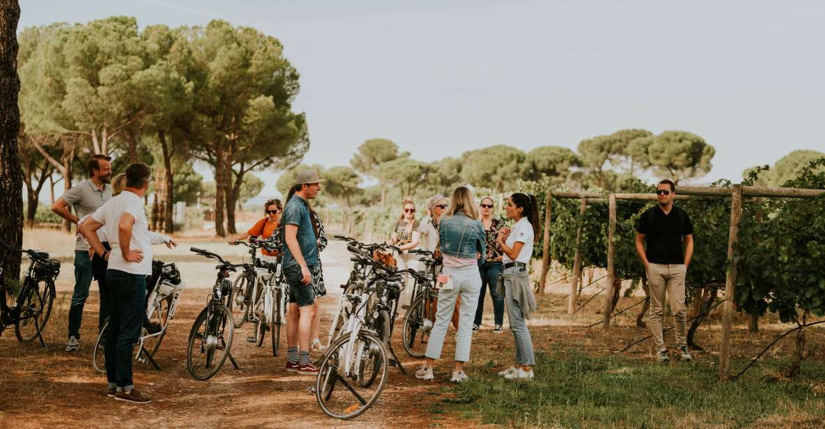 E-Bike Tour & Picnic in an Exclusive Winery Estate - Things To Know