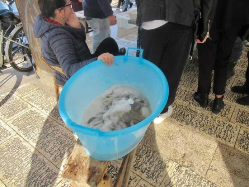 e-Bike tour to discover Bari: the seafront and the old town - Final Thoughts