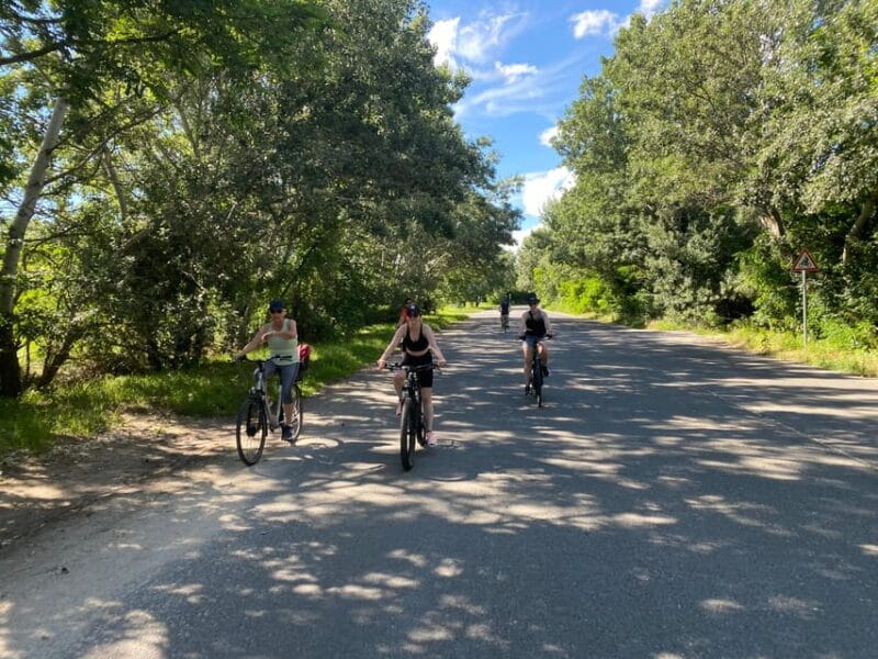 E-Bike Tour to Szentedre - Who Will Love This Tour?