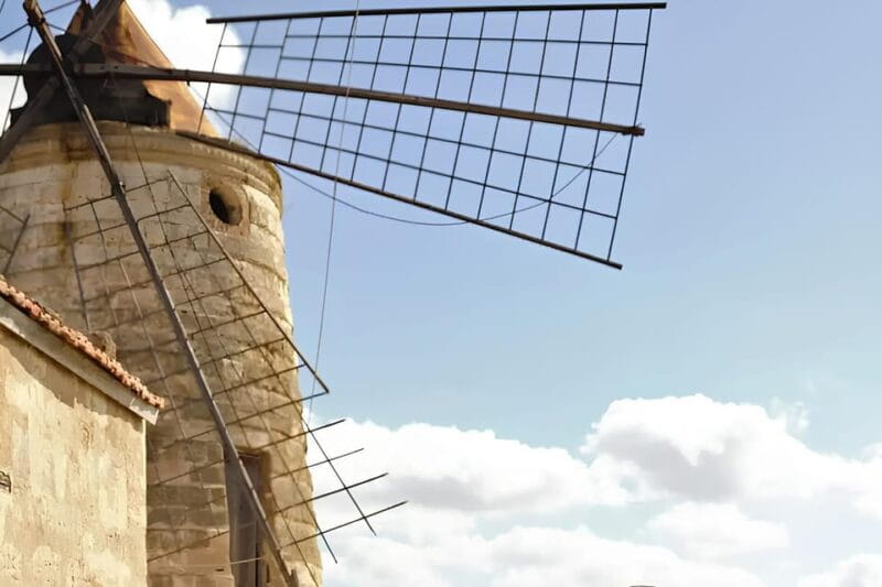 E-bike tour to the salt pans of Trapani - 3 hours - Price and Logistics