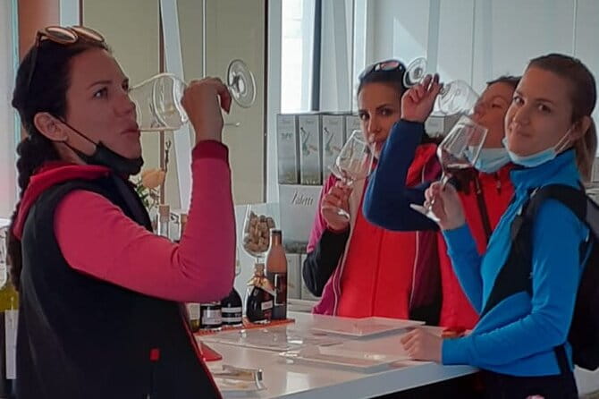 E-Bike tour with stop in the cellar in the Bardolino area - An In-Depth Look at the E-Bike and Wine Tour