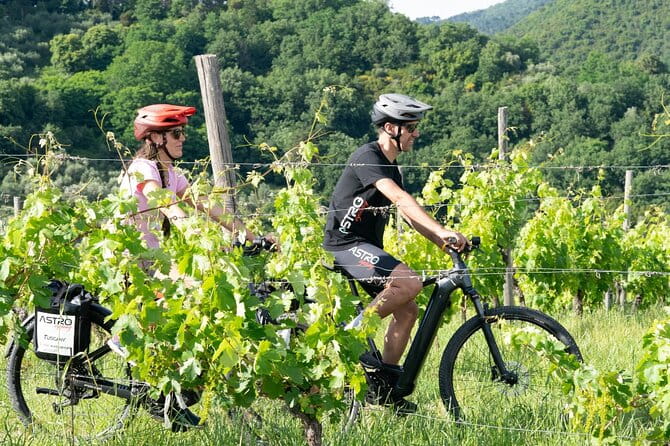 E-bike tour with tasting in the hills of Lucca - Key points / Takeaways