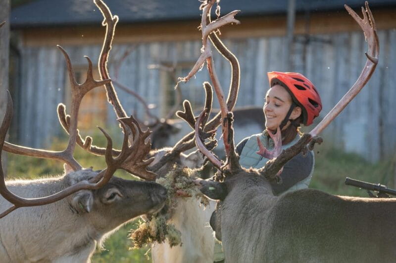 E-FATBIKE TRIP TO THE REINDEER FARM - An Exciting Ride Through Lapland’s Wilderness to an Authentic Reindeer Farm