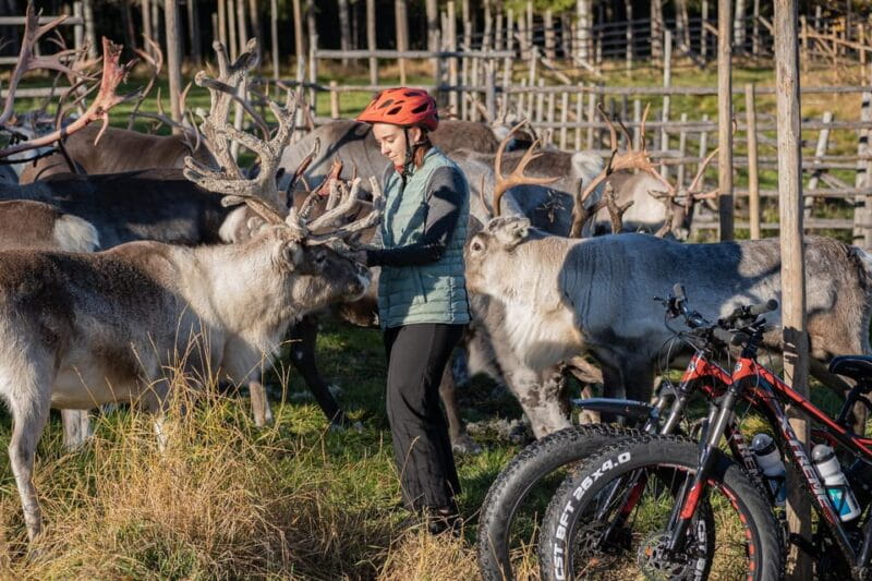 E-FATBIKE TRIP TO THE REINDEER FARM - Logistics, Practicalities, and Who Will Love This