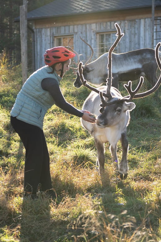 E-FATBIKE TRIP TO THE REINDEER FARM - Who Will Enjoy This Tour?
