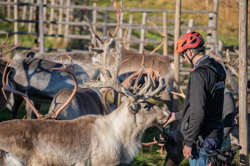 E-FATBIKE TRIP TO THE REINDEER FARM - Final Thoughts: Is It Worth It?
