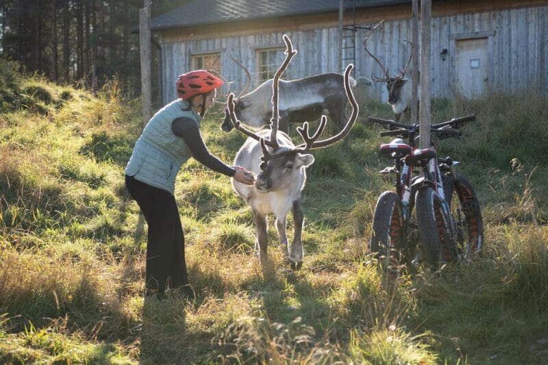 E-FATBIKE TRIP TO THE REINDEER FARM - FAQ