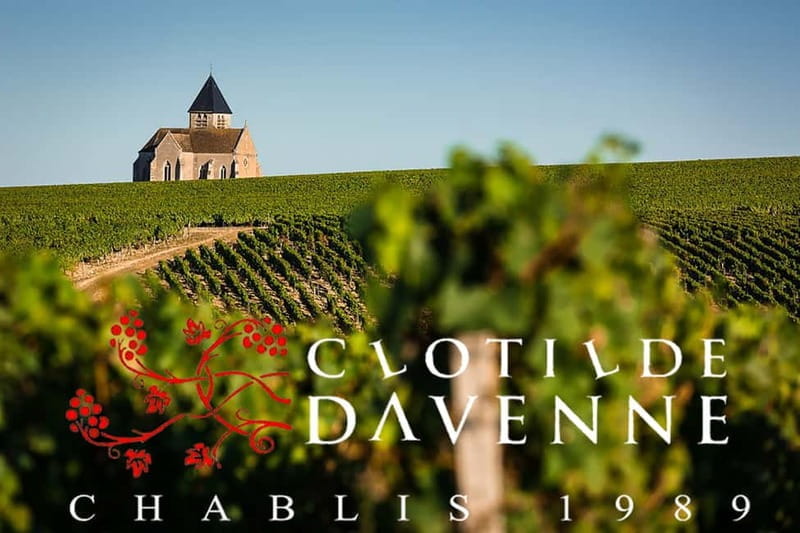 e-Mehari Tour and tasting Chablis Clotilde Davenne - The Sum Up: Is It Right for You?