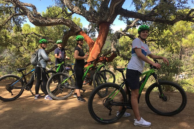 E-Mountain Bike Explorer Tour Departing From Marbella - Enjoy Coastal Views