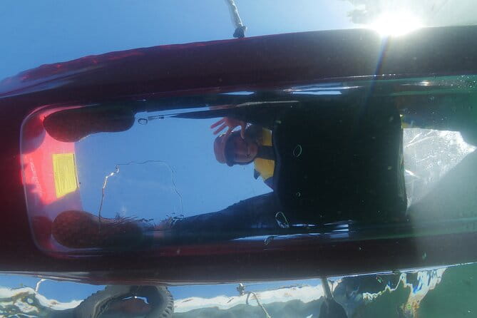 Early Morning Premium Private Clear-Bottom Kayak Tour - Experience Highlights