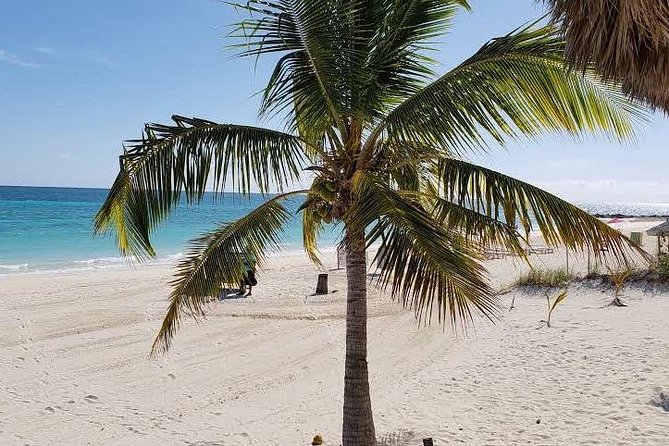 East End Private Day Trip Experience Tour - Key Points